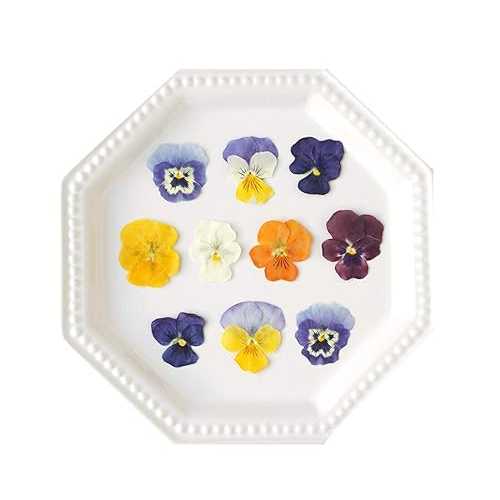 Uzunohana Dried Edible Flowers Viola Mix (50 Petals) / For Cake Decorating / For Garnish / For Culinary / For Cocktail!