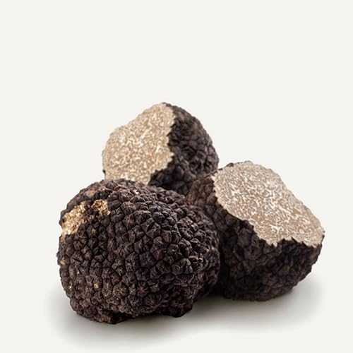 Sabatino Tartufi Sabatino Fresh Black Summer Truffles, 4 薬局衡オンス, Imported Italian Gourmet Truffles, Rich Hazelnut Flavor, Perfect for Finishing Dishes, Non-GMO