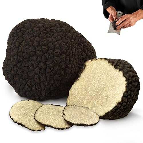 Luca\u0027s Truffles Fresh Black Truffles - Gourmet Truffles for Pasta, Risotto, and Fine Dining - Vegetarian, Gluten-Free (2 Oz)