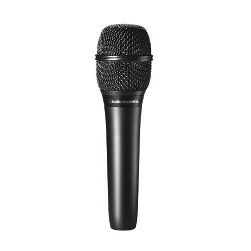Audio-Technica AT2010 - Condenser Handheld Microphone, Cardioid｜Glomarket