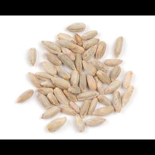 Angelina's Gourmet D’allesandro 25 lbs. Raw Rye Berries, Kosher Parve Certified & Non-GMO