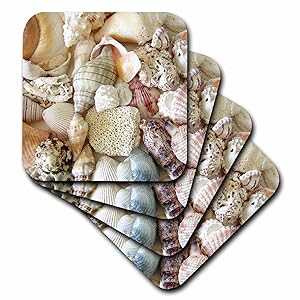 3dRose CST_40854_3 Florida Seashells II 陶器 瓦 コースター (4 個仕かける) 3dRose CST_40854_3 Florida Seashells II Ceramic Tile Coasters (Set of 4)