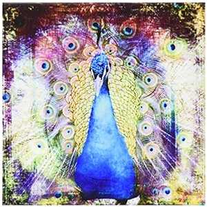 3dRose LLC cst_130412_3 陶器 瓦 コースター、「Peacock Grunge Digital Art by Angelandspot」、4 個仕かける 3dRose LLC cst_130412_3 Ceramic Tile Coasters, \