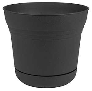 ブルーム サターン プランター 受け皿付き 12インチ ブラック (SP1200) Bloem Saturn Planter with Saucer, 12", Black (SP1200)｜Glomarket