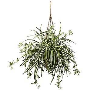Nearly Natural Spider Plant Hanging Basket|Glomarket