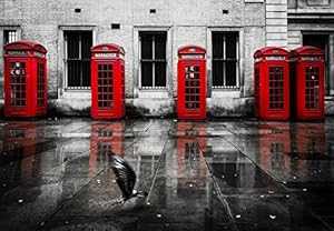 Posterazzi PDXVKRC006ALARGE ロンドン電話ブースの鳥の写真プリント、36 x 24、マルチ Posterazzi PDXVKRC006ALARGE London Phone Booths Bird Photo Print, 36 x 24, Multi