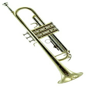 スカイバンド承認の金メッキ真鍮 Bb トランペット ケース付き、ゴールド Sky Band Approved Gold Plated Brass Bb Trumpet with Case, gold|Glomarket