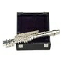Palatino WI-806-FS C Flute with Case, 16 Keys|Glomarket