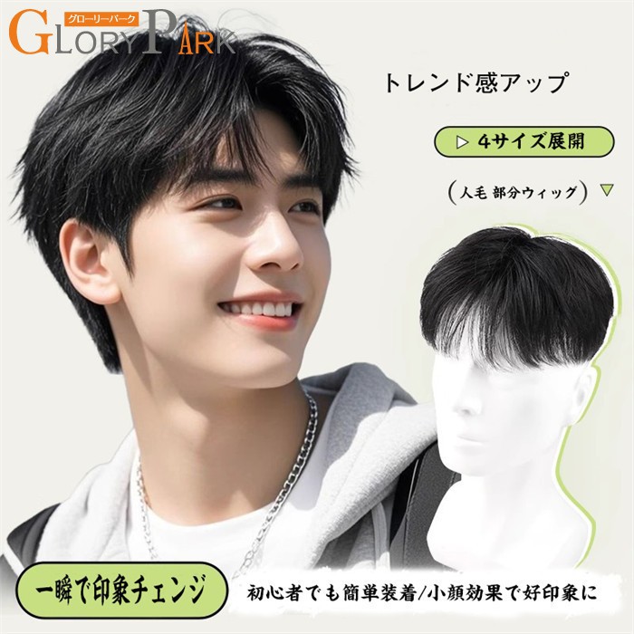 メンズウィッグ 人毛100% 全手工植毛 診療用相応う いの一番天下太平 短髪 巻き毛 気取らないな仕上がり 後ばらい毛 髪の毛天下太平 耐熱 御前上等 かつら 成人男性用 商行為 通い 通学 読書人表現スタイル 飾り気の無い作り付ける