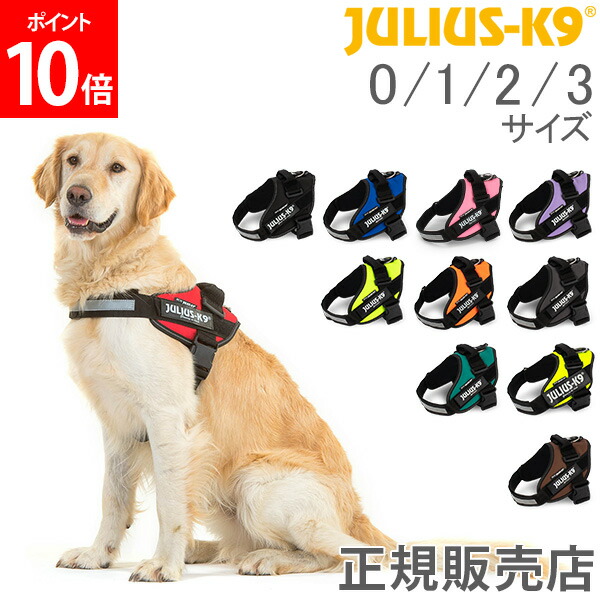 1980円 当店在庫してます！ ユリウスケーナイン Julius-K9 IDC パワーハーネス 中型犬 大型犬 Size 0 1 2 3 胸囲58  〜115cm 犬用 ハーネス 犬 散歩 Powerharness