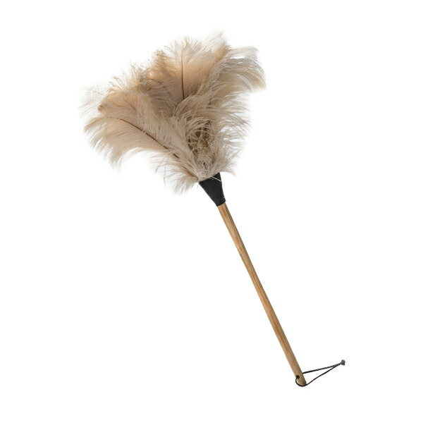 レデッカー Redecker オーストリッチ 68cm 羽はたき ダチョウ 4608 ホワイト White はたき 羽 ほこり取り ロング ダスター インテリア やわらか ドイツ あす楽 Sermus Es