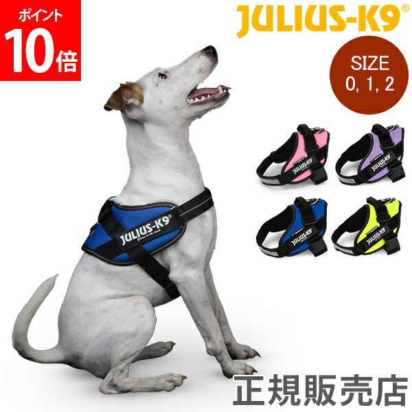 楽天市場】ユリウスケーナイン Julius-K9 IDC パワーハーネス