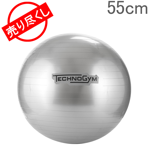 楽天市場 売り尽くし テクノジム Techno Gym バランスボー 55cm ウェルネスボール Aaa シルバー Wellness Tools Wellness Ball Home Silver おしゃれ スタイリッシュ あす楽 Gulliver Online Shopping