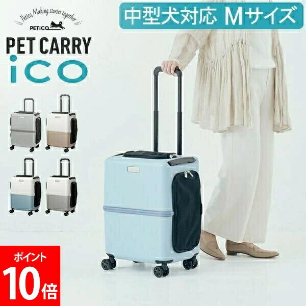 新やって行く｜調度品・室内装飾特集