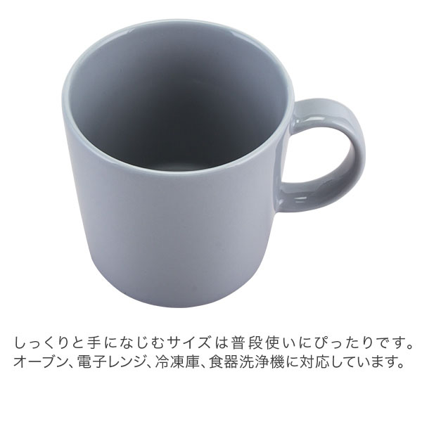 新品未使用 4点 iittala フルッタ マグカップ ティーマ Teema+biotec