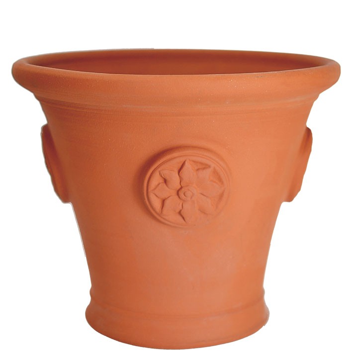 楽天市場】Whichford ウィッチフォード 植木鉢 RHSクリーピング