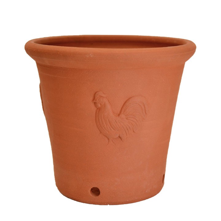 楽天市場】Whichford ウィッチフォード 植木鉢 深型 キャット