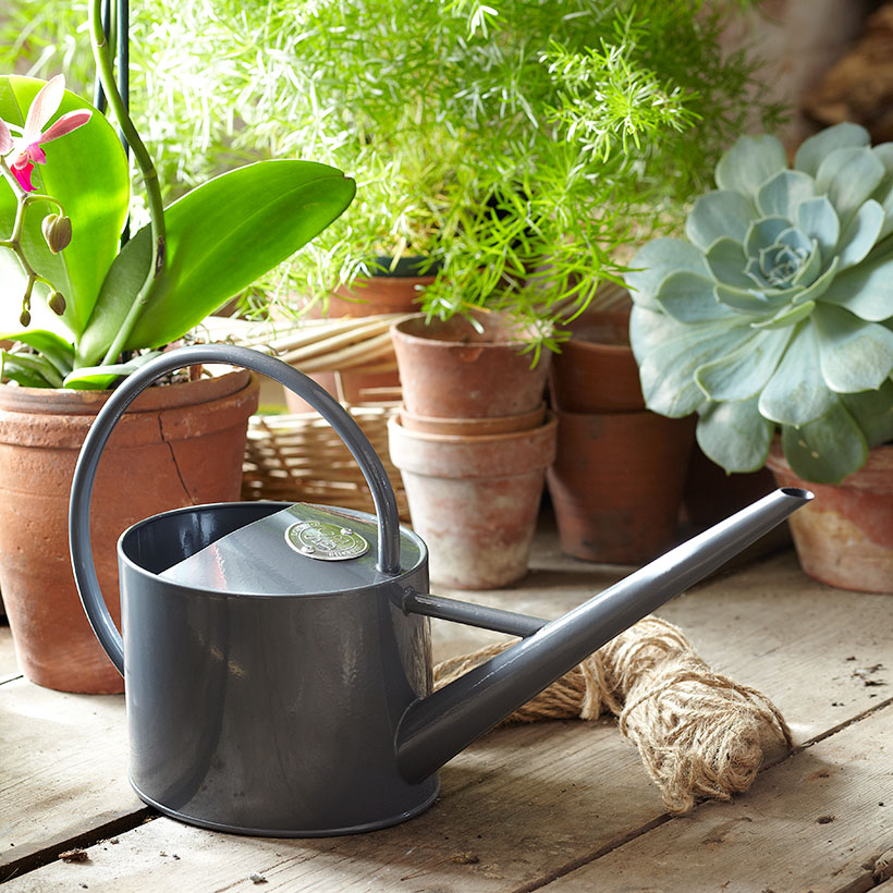 ソフィコンランデザイン グリーンハウス Greenhouse Indoor インドアカン 1 7l Sophie Conran