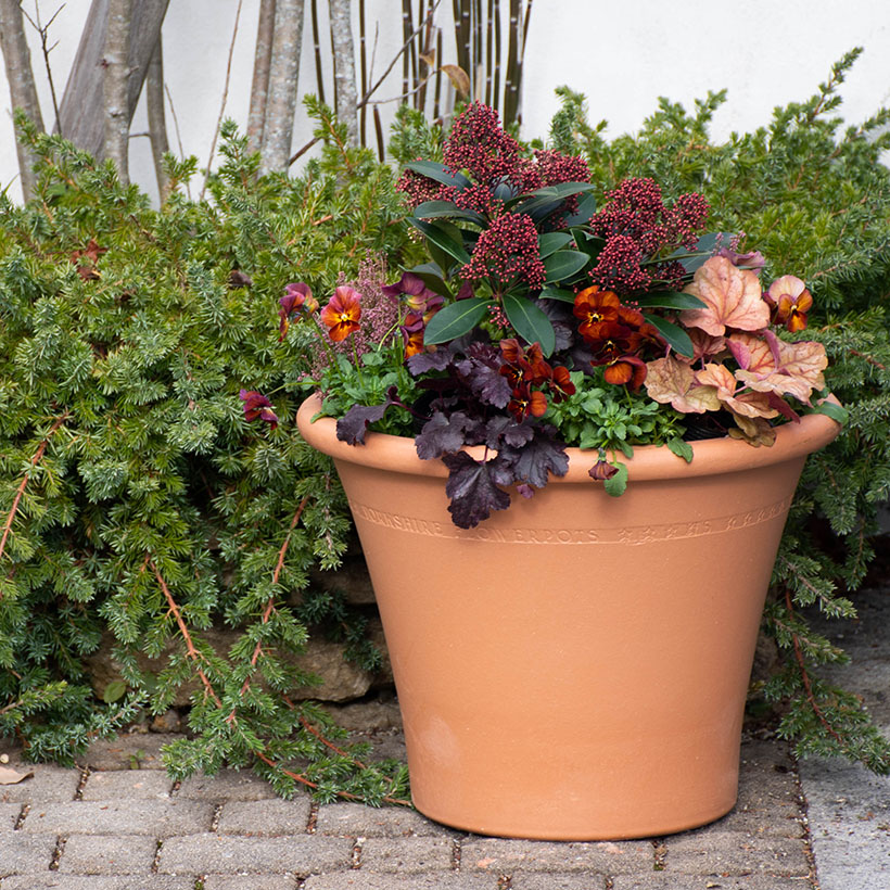 楽天市場】英国製 テラコッタ 植木鉢 大型 Flowerpot Medium