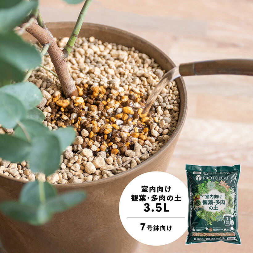 値段が激安 プロトリーフ かる?い鉢底石 5L