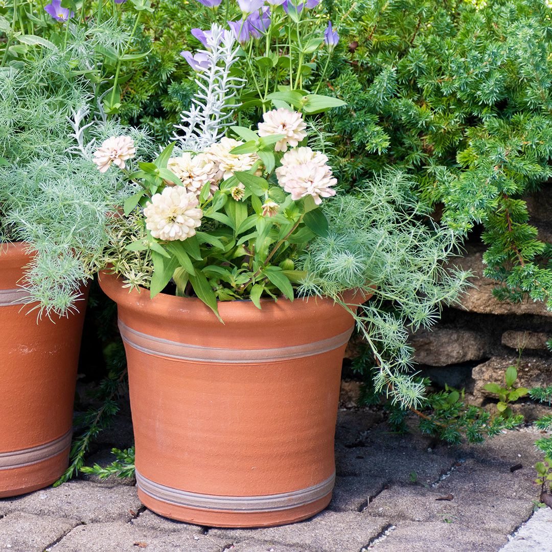 【取って置く売りわたす】Whichford ウィッチフォード 鉢 シュロの葉ポット 差しわたし25珊大きさ