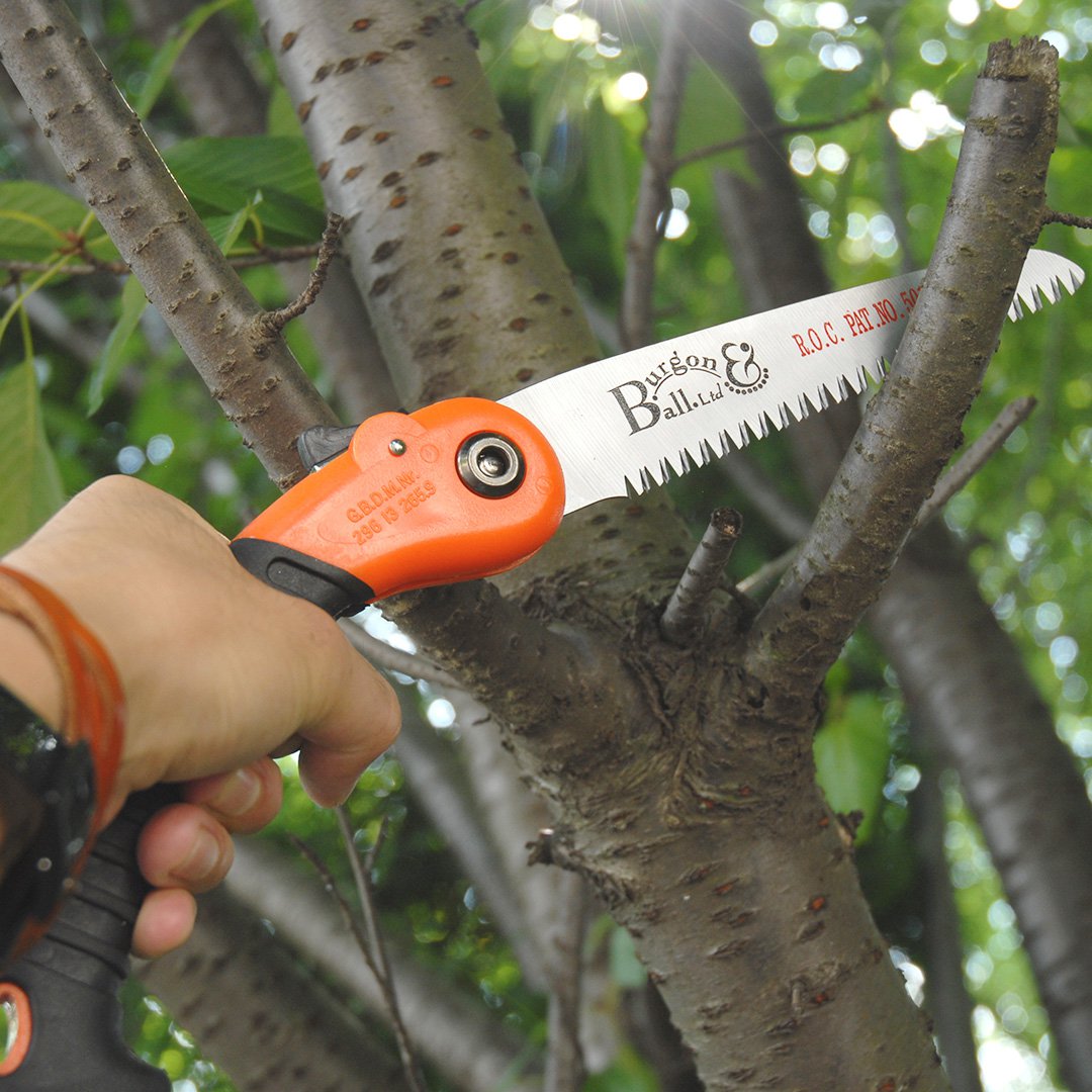 園芸 ガーデニング用 庭木 ローズ 切り落とす 枝切 折りたたみ式切り落とす引き切り FOLDING PRUNING SAW RHSお墨付き品 Burgon\u0026Ball バーゴン＆どんぶり鉢 (百貨店SALE継続期間中PTUP)