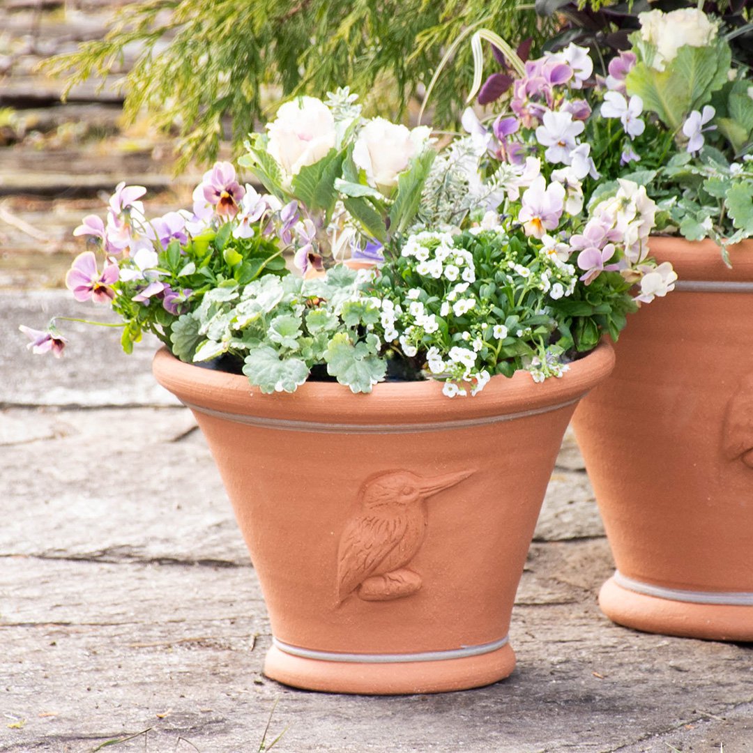 楽天市場】Whichford ウィッチフォード 植木鉢 壁掛け ヴァイン