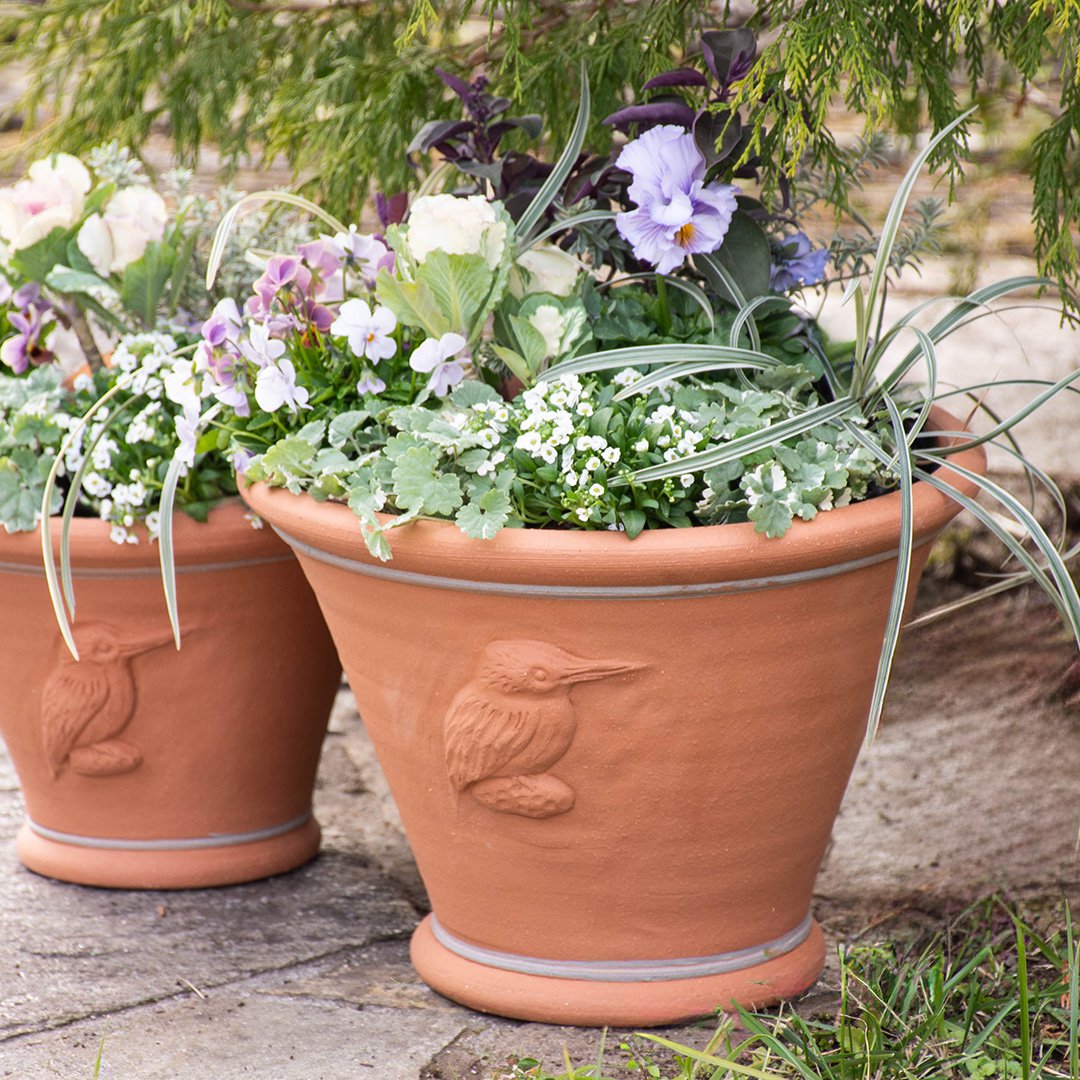 楽天市場】Whichford ウィッチフォード 植木鉢 深型 RHS ジキル