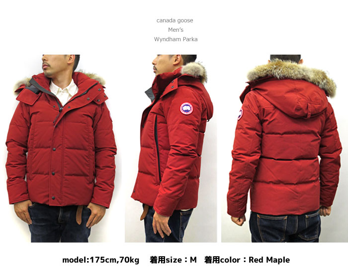 canada goose red maple