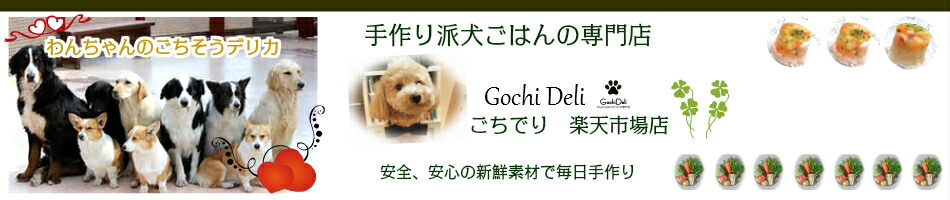 楽天市場 無添加 犬 手作り ごはん ご飯 犬用手作り食 愛犬用ドッグフード 老犬 鶏むね肉のこんがりロースト ギフト 誕生日 ケーキ おやつ 老犬用 トッピング 手作り派犬ごはんの専門店ごちでり