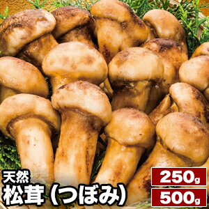 250g or 500g 天然松茸(つぼみ) 松茸 まつたけ マツタケ 天然松茸 高級松茸 天然 秋の味覚 希少 高級食材 旬 山の幸 きのこ キノコ つぼみ 土瓶蒸し 和食 冷凍食品 コスパ ギフト 贈答品 贈り物 お中元 お歳暮 お取り寄せ 贅沢 グルメ 全国送料無料 ごちそうマーケット|株式会社ごちそうマーケット