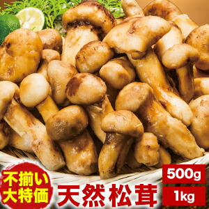 いよいよ最終間近　和歌山松茸　新鮮朝市　込み込み　378㌘ 和歌山松茸 新鮮朝市 込み込み 232㌘