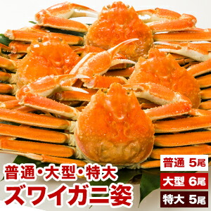 【ポイント20倍進呈中】 普通5尾約2.4kg 大型6尾約3.6kg 特大5尾約3.6kg ボイルズワイガニ姿 特大ズワイガニ 大型ズワイガニ 姿 ずわいがに ずわい蟹 ズワイ蟹 蟹姿 カニ姿 かにみそ 蟹みそ ボイルズワイ ボイルずわいがに ごちそうマーケット 全国送料無料