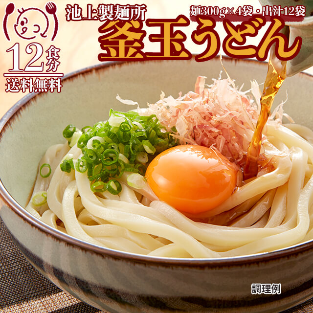 そば 蕎麦 ポイント10倍 ポイント消化 グルメ つゆ付き お得 人気 生麺 お試し お取り寄せ 業務用 麺 石臼挽き 食品 送料無料 セット  1,000円 ポッキリ