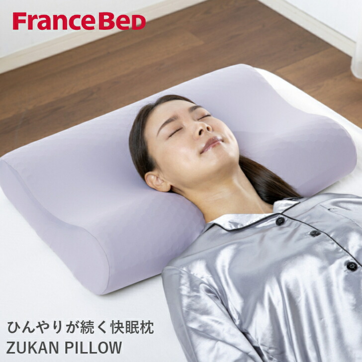 fr-zukanpillow-1.jpg