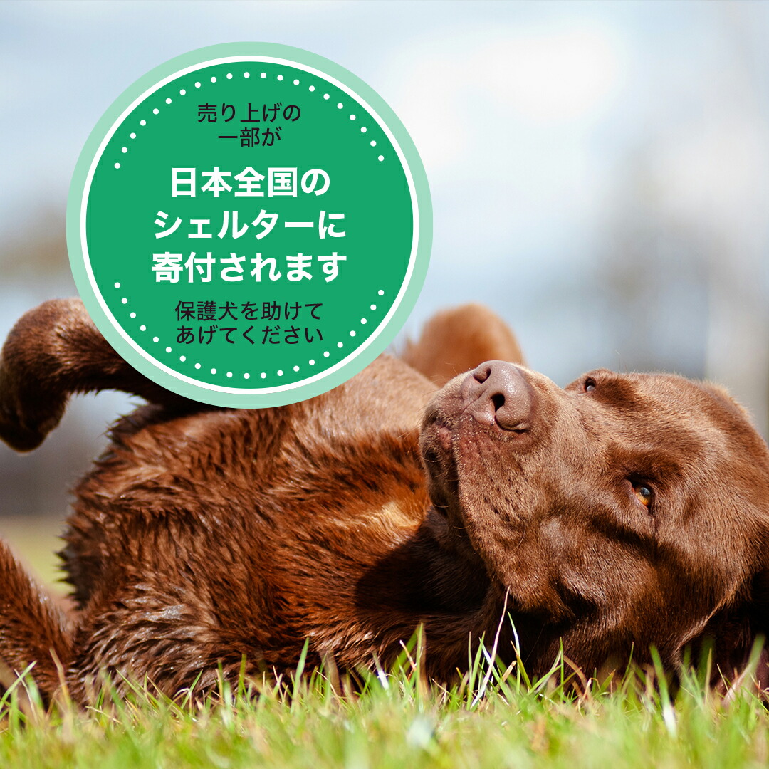 84%OFF!】 GoDoggy ヒマラヤ産ヤクチーズスティック S 1本入り30g 自然食品 犬 おやつ qdtek.vn