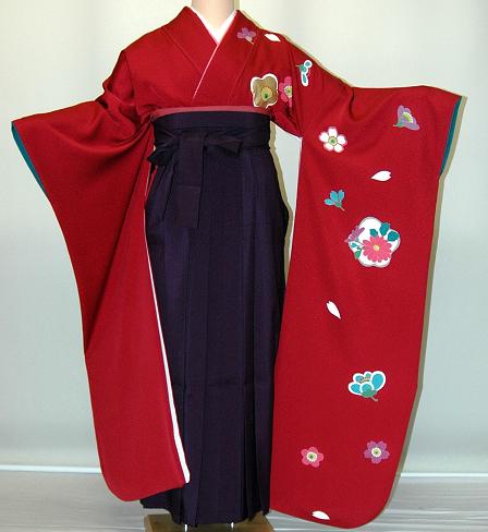 【賃貸】振袖、袴（はかま）賃貸【赤・サクラ色・赤紫系】【HF900】広広とした大いさ/ゆったり/馬鹿でかい/幅ひろい/2Ｌ/3Ｌ/13号/15号/17号/袴賃貸 冬春社会的運動