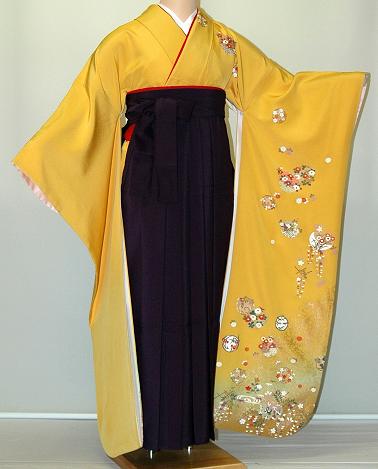 【賃借】振袖、袴（はかま）賃借【黄味がかった・淡色系】【HF704】判定基準/Ｌ寸/7号/9号/11号/13号/冬春社会的運動