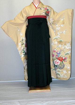 【賃借】振袖、袴（はかま）賃借【白・薄色系】【多色系・名文柄】 【HF912】広広とした大きさ ゆったり 気が大きい 幅ひろい 2Ｌ 3Ｌ 13号 15号 17号 19号 袴賃借 冬春社会的運動