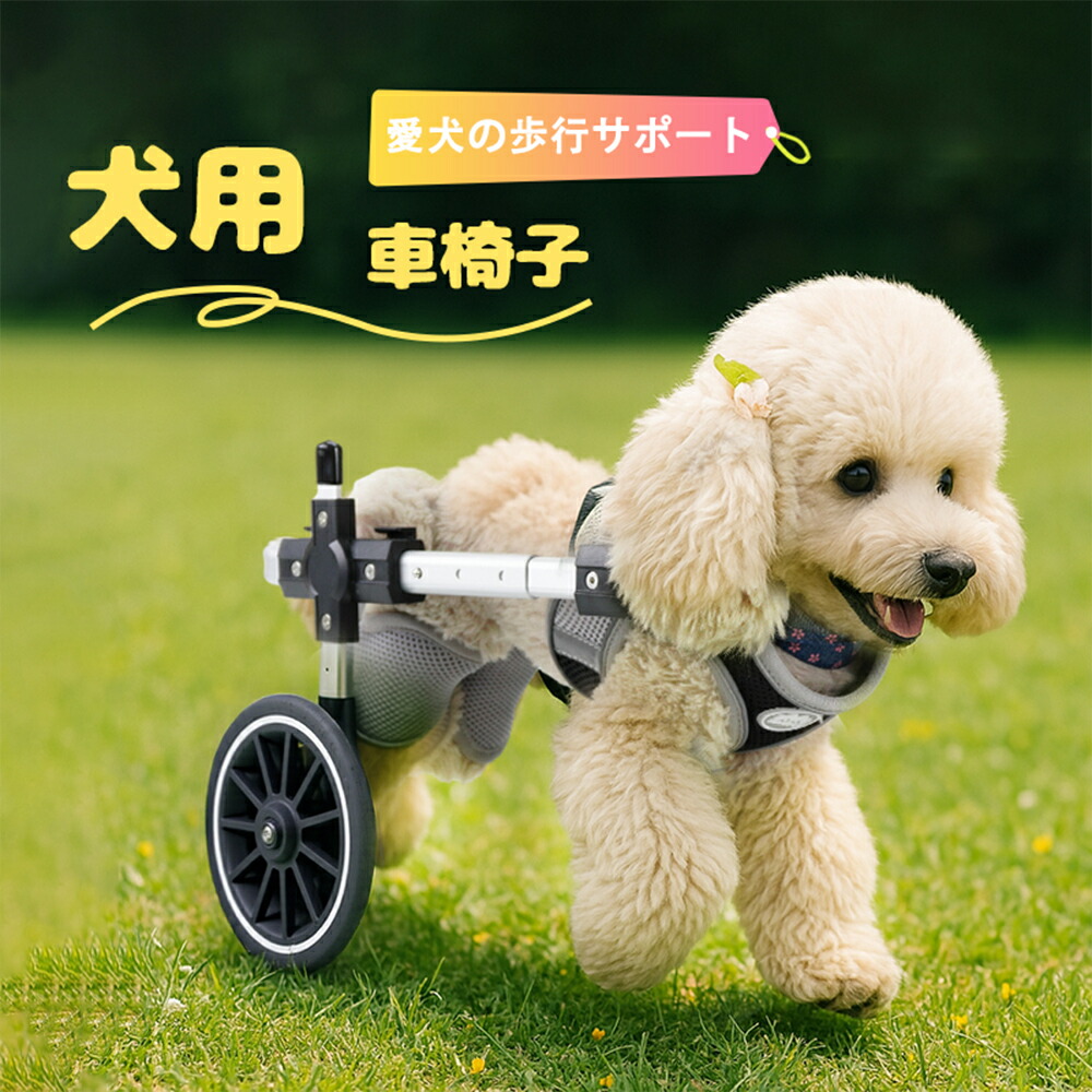 楽天市場】小型犬用車椅子 : 北村雑貨店
