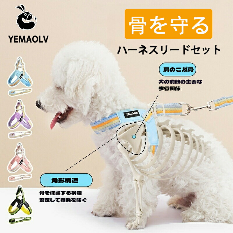 楽天市場】【プロ監修】 犬 ハーネス リード 夏 メッシュ 骨を保護する