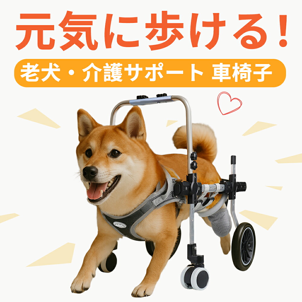 楽天市場】ペット 車椅子 4輪 大型犬 全身サポート 歩行器 歩行