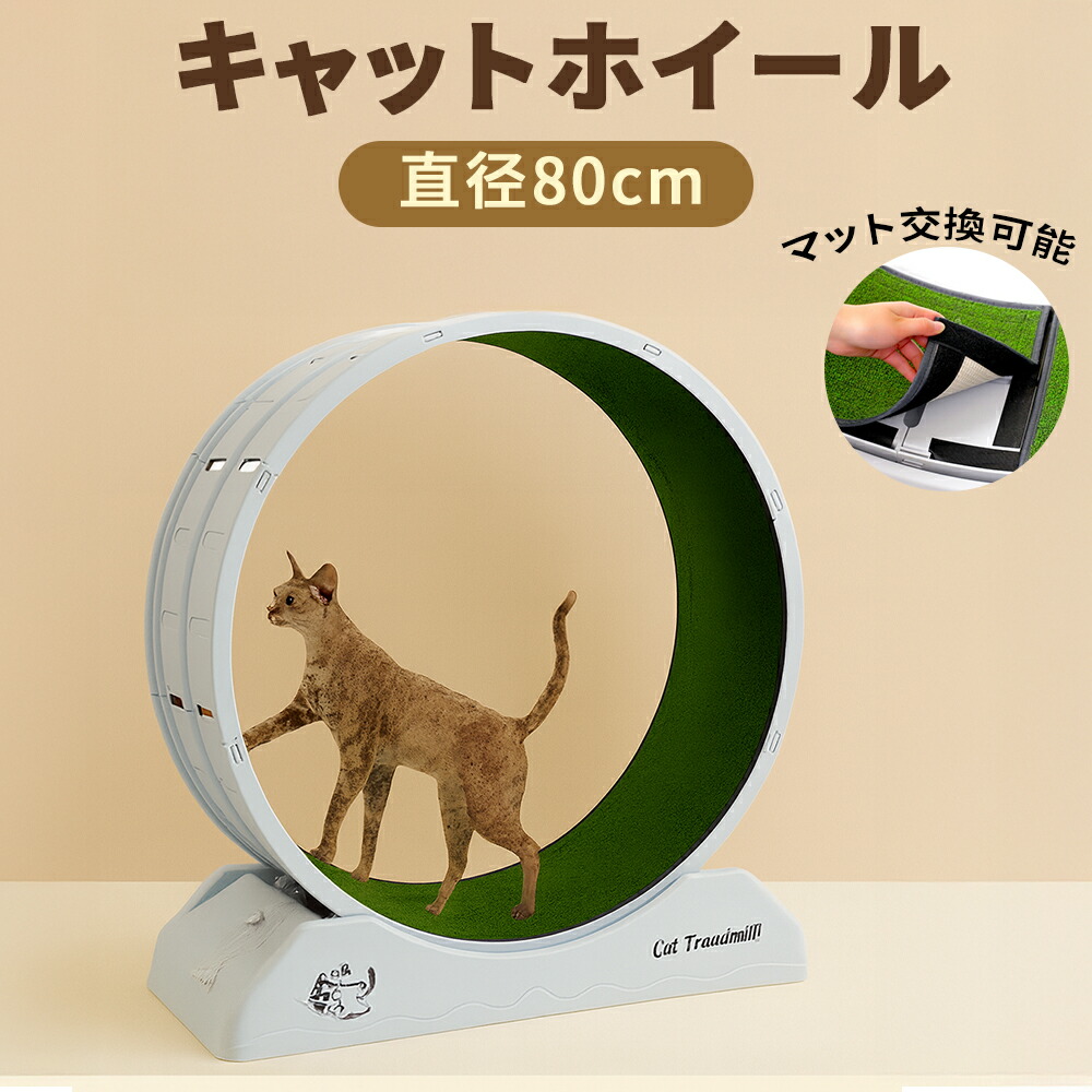 【20時～P5倍＋先着600円OFFクーポン！！】キャットホイール 大型 直径80cm 幅広 静音仕様 猫用ランニングホイール 自宅運動 室内エクササイズ ストレス解消 大型猫対応 組立簡単