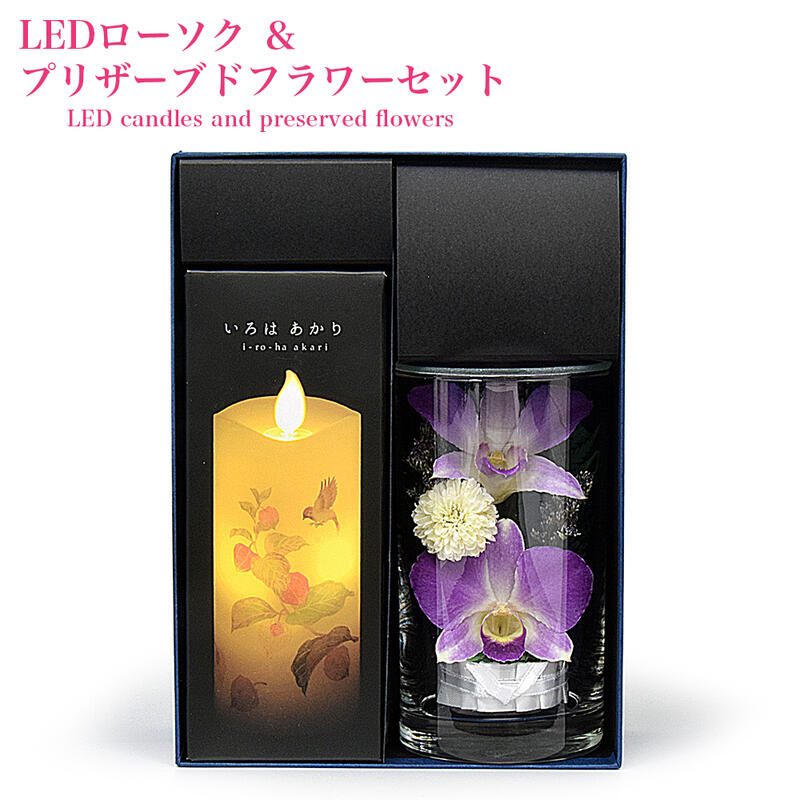 カリフラワーさま専用 imgrc0108263736.jpg