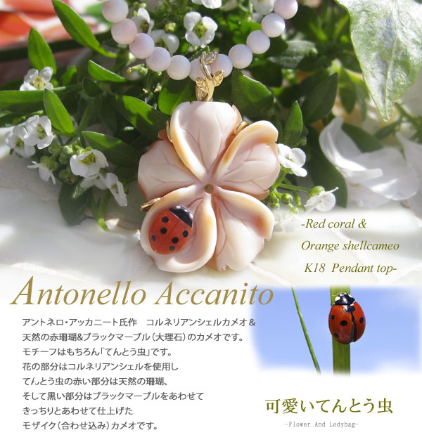 新作多数 カメオ ペンダントantonello Accanito作コルネリアンシェル 天然赤珊瑚 黒大理石カメオk18ペンダントトップ Www Dexion Com Au