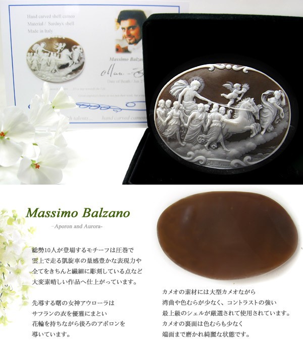 今季一番 Massimo Balzano作 シェル カメオ ルース Fucoa Cl 今季一番 Massimo Balzano作 シェル カメオ ルース Fucoa Cl