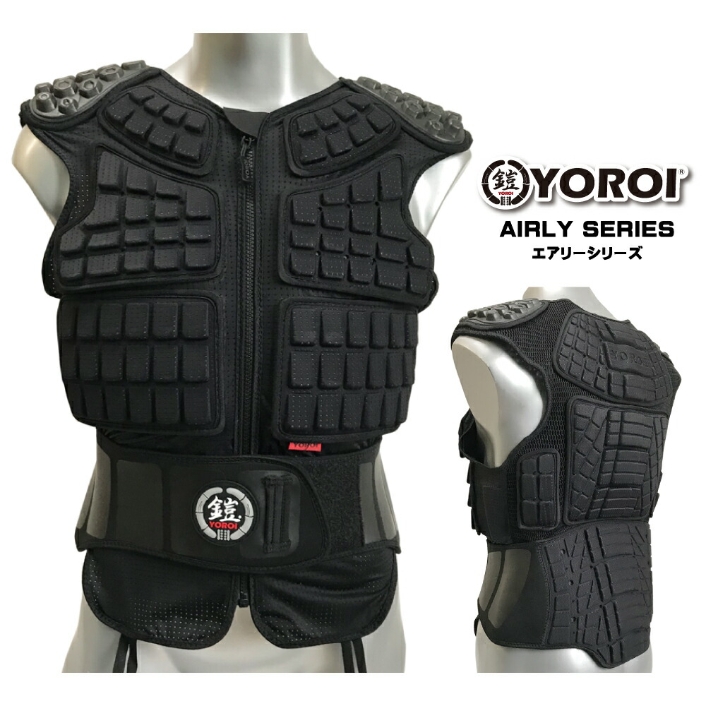 楽天市場】スノーボード スキー バックプロテクター 脊椎パッド