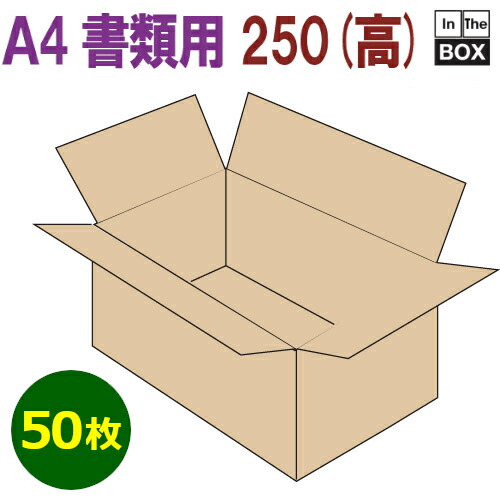 楽天市場】B4書類対応段ボール箱 390×265×300mm 「30枚」 : 段ボール