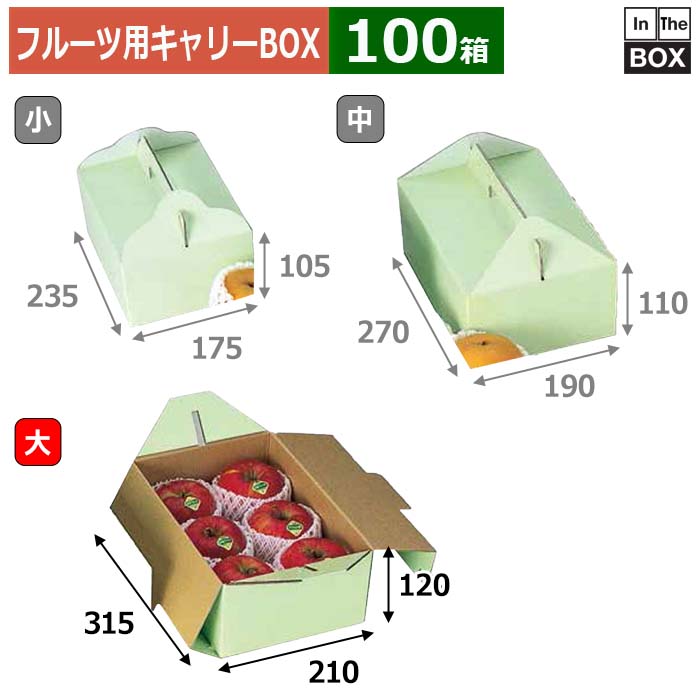 フルーツ用持ちはこびBOX 合財袋緑であること 大 315×210×120(粍) りんご,桃2L6個「100箱」