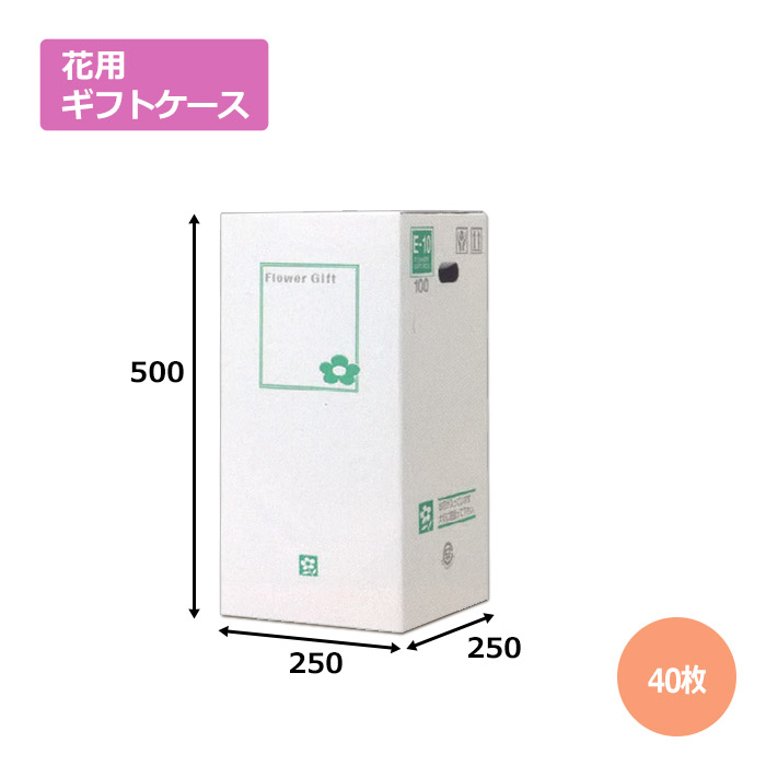 正規品 楽天市場 送料無料 花用ギフトケースe 10 40枚 エコノミータイプ ギフト用 包装 ラッピング 発送 宅配 ダンボール 段ボール 段ボール 梱包資材店 In The Box 即日出荷 Isf Org Sa